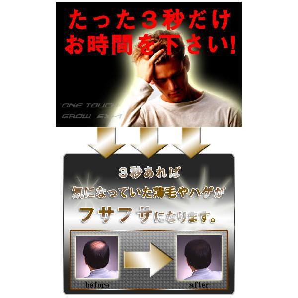 ワンタッチグローEX+4 200g【6本セット】☆おまけ付き 増毛スプレー ワンタッチグローEX+4 爆買 : プロフィット - 通販