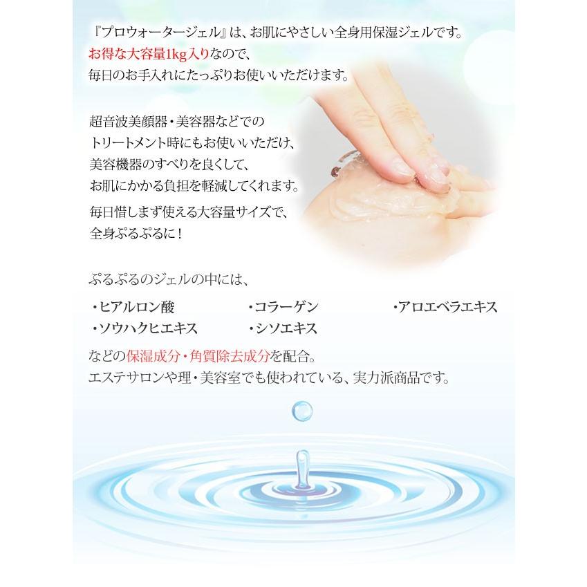 エステサロン限定品‼️フェイスプロ、家庭用美顔器、美肌、EMS、保湿美容液付き エステサロン限定品‼️フェイスプロ、家庭用美顔器、美肌、EMS、保湿