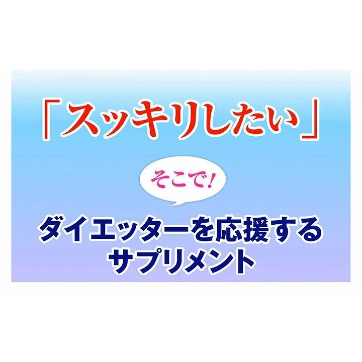 ダイエット サプリ シースルーライトbb Scbb プロフィット 通販 Yahoo ショッピング