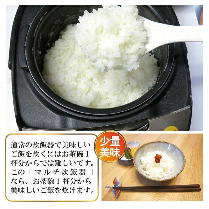 調理家電 炊飯 おかず コンパクト マルチ炊飯器 SY-110 炊き立て 蒸し