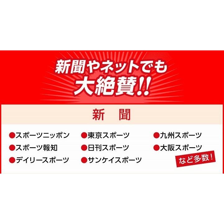 EMS エクササイズ 腹筋ベルト VUP SHAPER VアップシェイパーEMS EMS エクササイズ 腹筋ベルト VUP SHAPER VアップシェイパーEMS