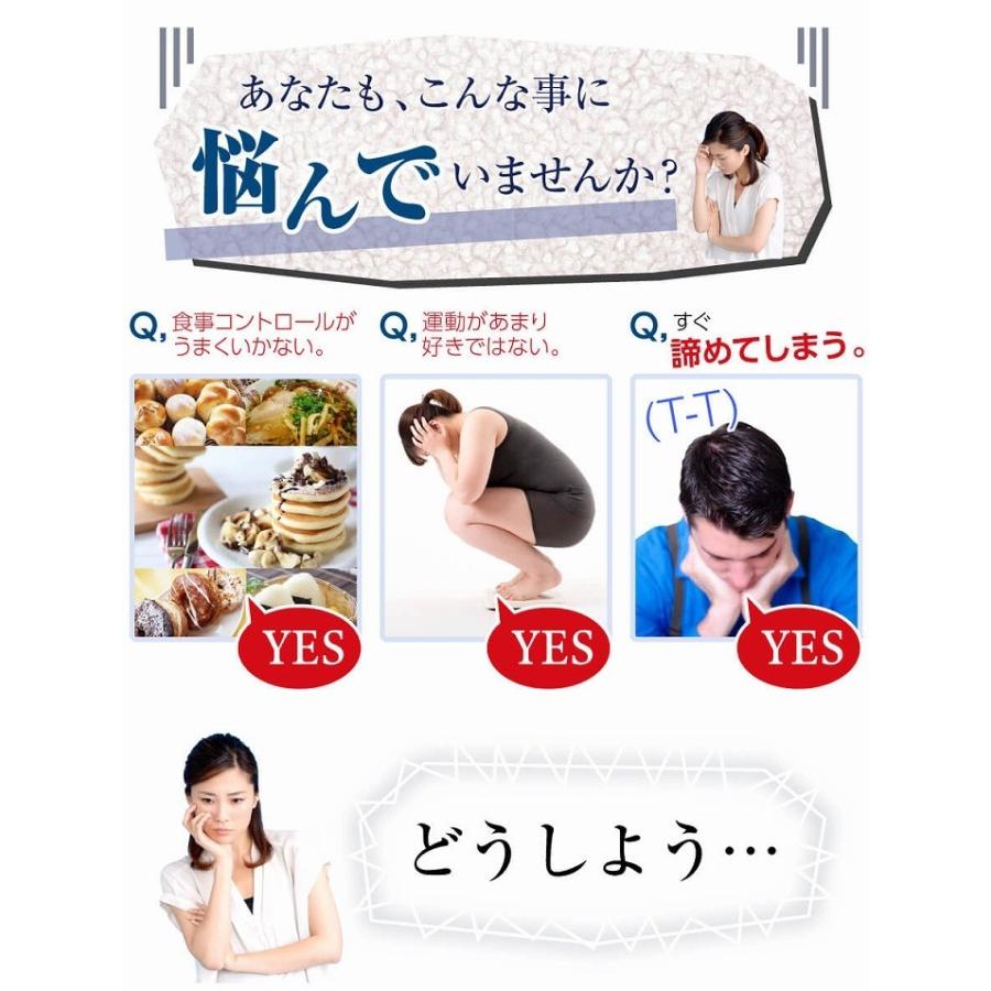 EMS エクササイズ 腹筋ベルト VUP SHAPER VアップシェイパーEMS EMS エクササイズ 腹筋ベルト VUP SHAPER VアップシェイパーEMS