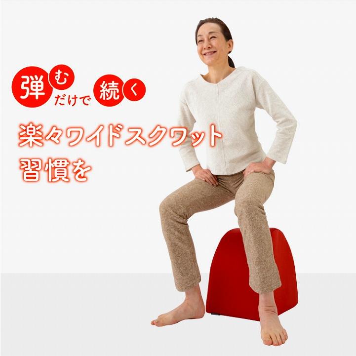 ストレッチクッション 室内運動 トレーニング ワイドスクワット