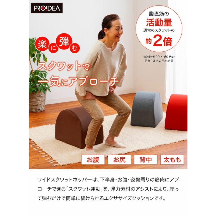ストレッチクッション 室内運動 トレーニング ワイドスクワット