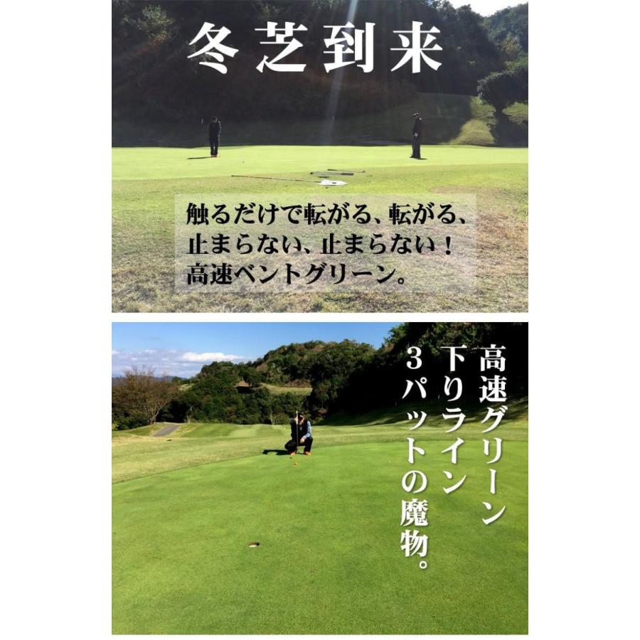 パターマット工房 日本製 45cm×5m EXPERTパターマット 距離感マスター
