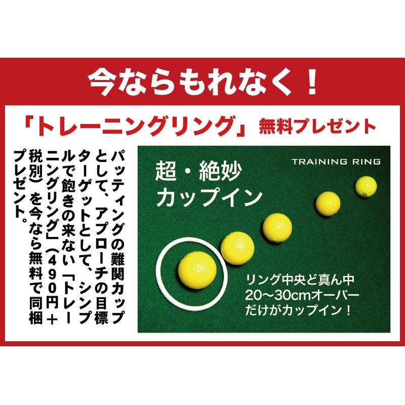 屋外可・ アプローチ＆パット専用人工芝 チップイングリーン CHIPIN'GREEN 90cm×5m ゴルフ 練習｜progolf｜19