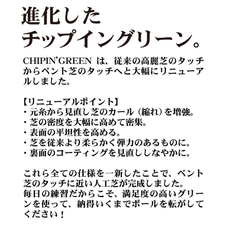 パターマット工房 屋外可・ アプローチ＆パット専用人工芝 チップイン