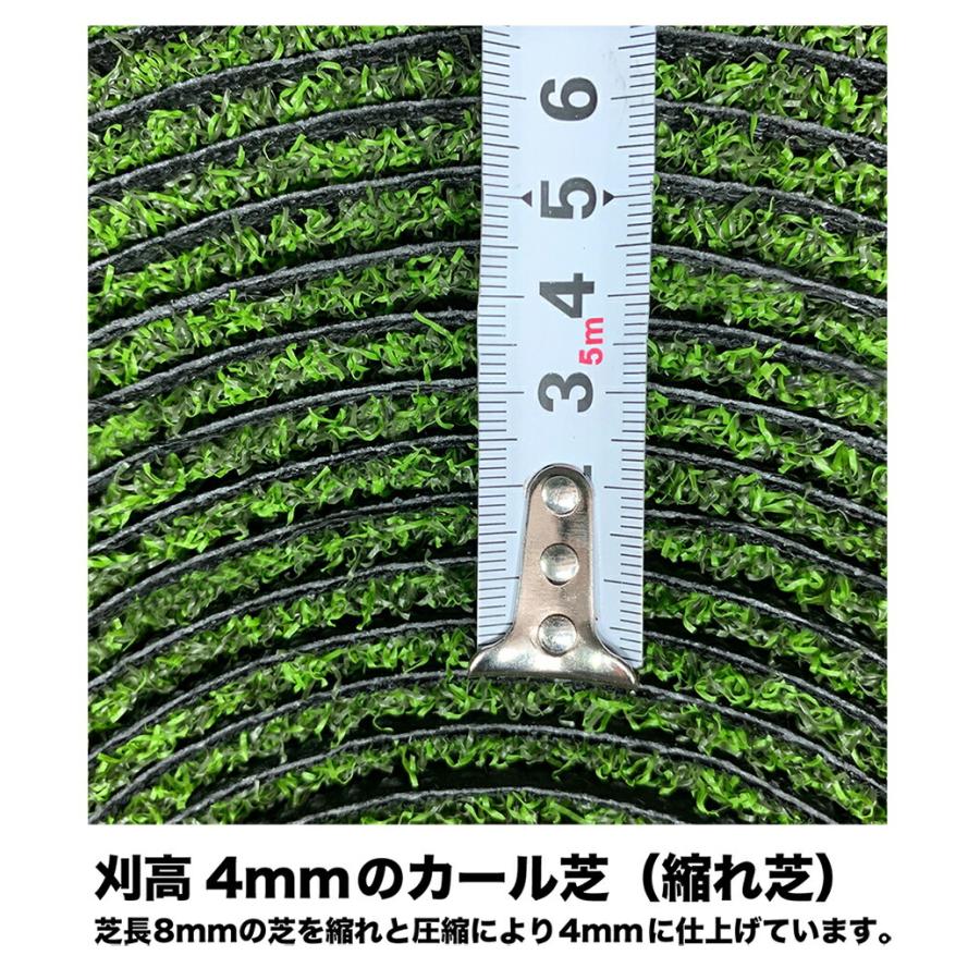 屋外 180cm×3m パット専用人工芝 短芝PT 順目やや高速＆逆目標準 トレーニングリング付き 高品質ゴルフ専用人工芝｜progolf｜10