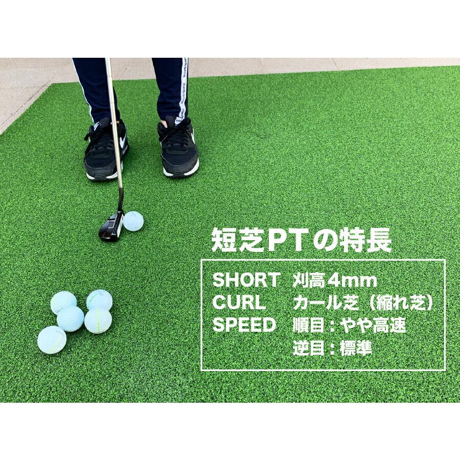 パターマット工房 屋外 180cm×8m パット専用人工芝 短芝PT 順目やや