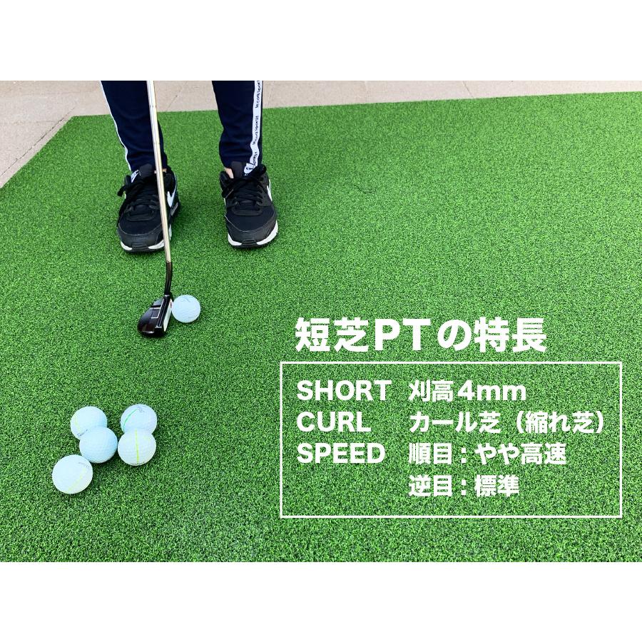パターマット工房 屋外 60cm×5m パット専用人工芝 短芝PT 順目