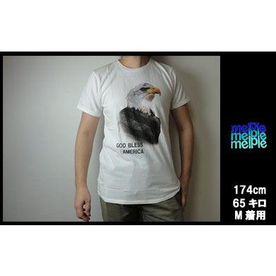 melple メイプル Tシャツ イーグル TEE MP011 | melple | 03