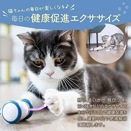 猫ちゃんのイタズラ友だち 猫 おもちゃ ねずみ 自動 ウィキッド・マウス （Jay Blue）｜progress-st｜03