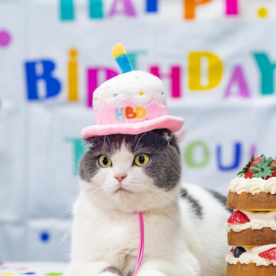 2点セット ペット 誕生日帽子 かぶりもの 帽子 ケーキ帽子 犬 猫 ペット コスプレ 小型犬 中型犬 大型犬 イベント 刺繍 happybirthday パーティー アクセサリー | ブランド登録なし | 02