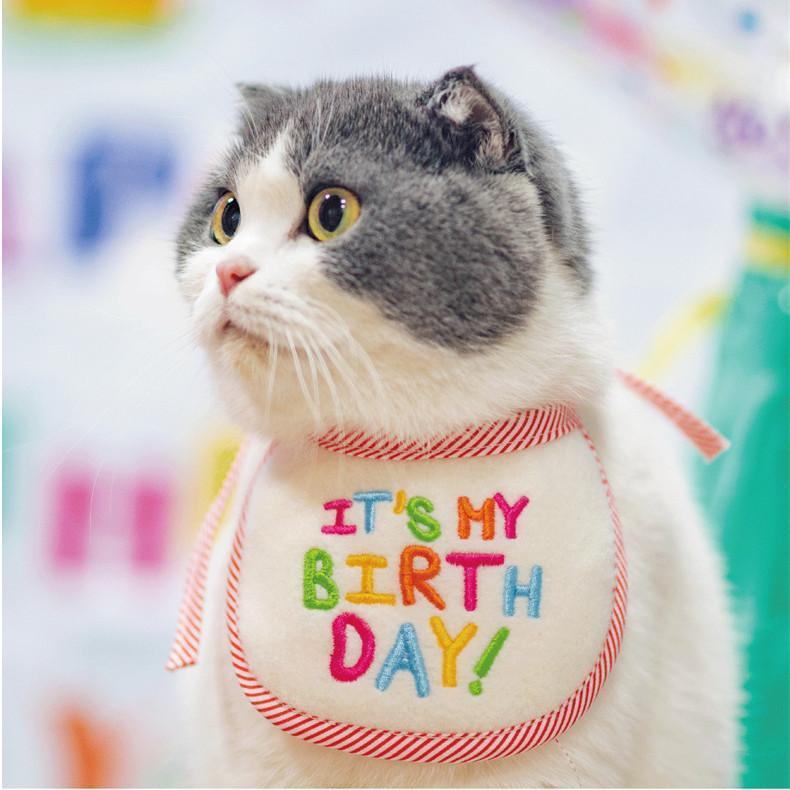 2点セット ペット 誕生日帽子 かぶりもの 帽子 ケーキ帽子 犬 猫 ペット コスプレ 小型犬 中型犬 大型犬 イベント 刺繍 happybirthday パーティー アクセサリー | ブランド登録なし | 04
