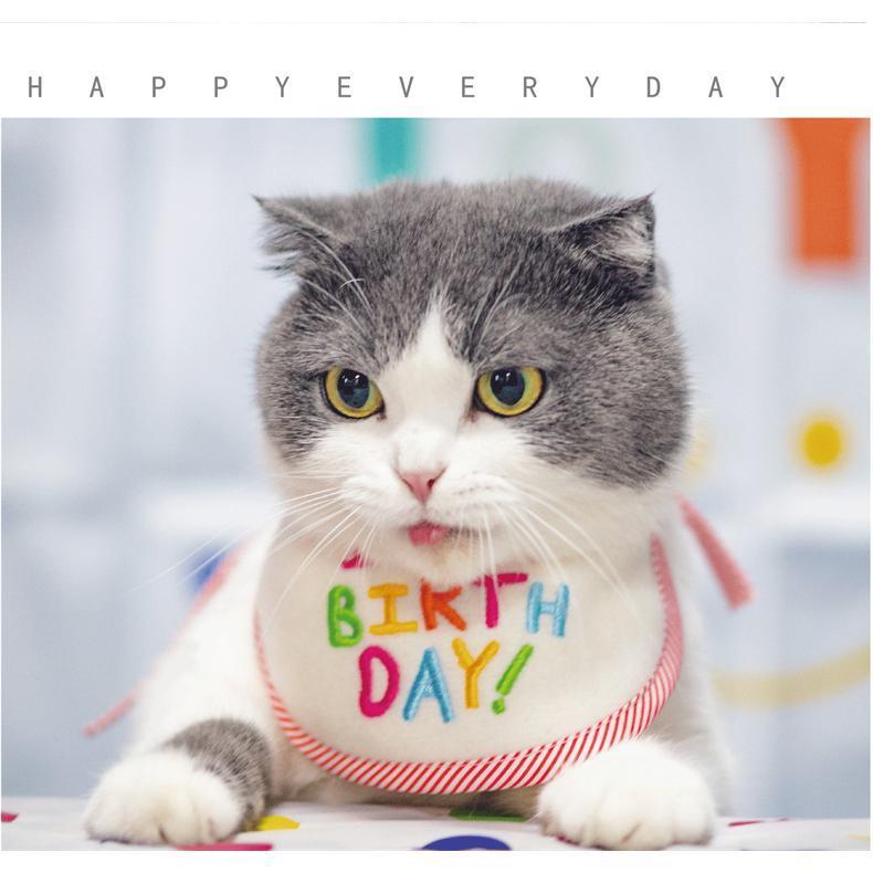 2点セット ペット 誕生日帽子 かぶりもの 帽子 ケーキ帽子 犬 猫 ペット コスプレ 小型犬 中型犬 大型犬 イベント 刺繍 happybirthday パーティー アクセサリー | ブランド登録なし | 06