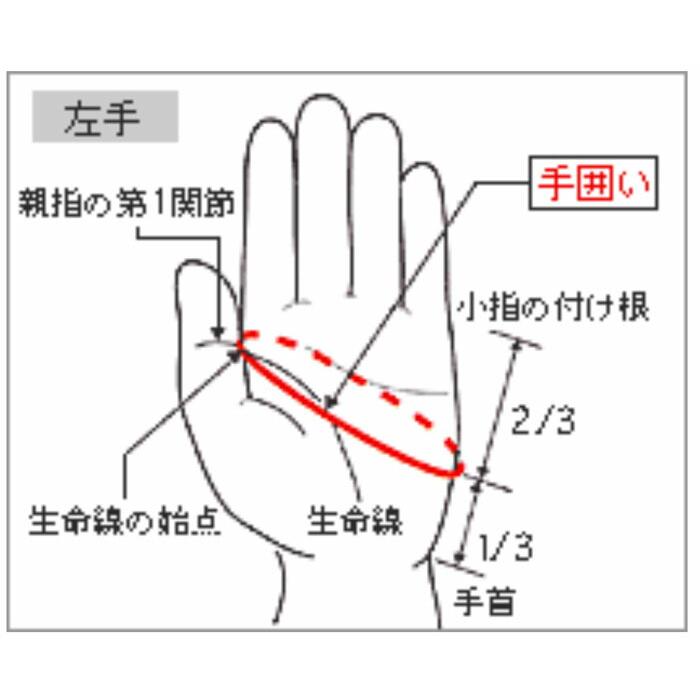 MIZUNO ミズノ W-GRIP ダブルグリップ ゴルフ グローブ メンズ (左手用) 5MJML051【クリックポスト】正規品｜progress1966｜12