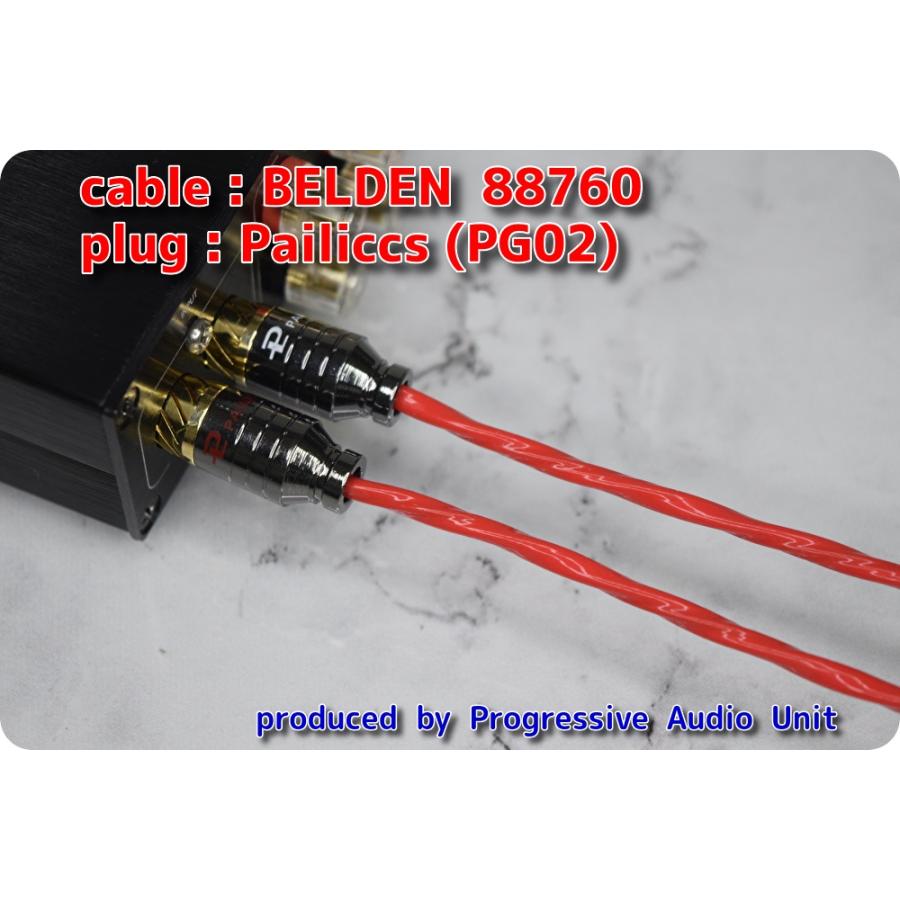 Belden 760 金メッキプラグ Pg02 0 30m 2本 受注生産品