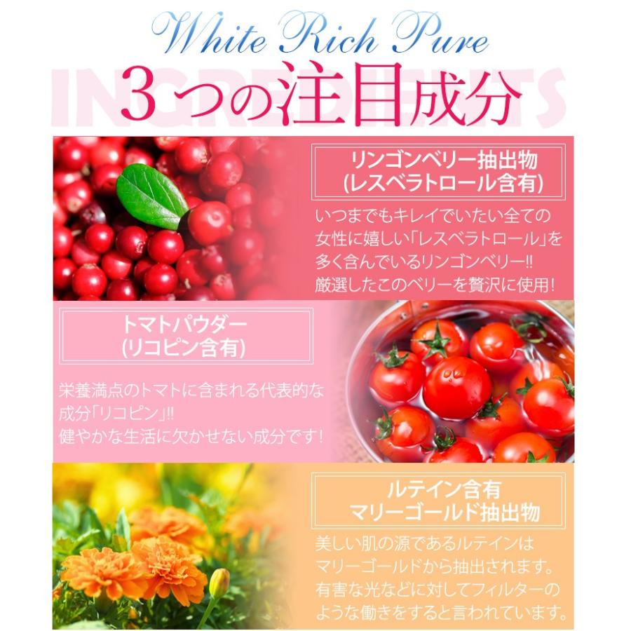 サプリメント 日焼け止め スキンケア リコピン セラミド ヒアルロン酸 ホワイトリッチピュア 送料無料 乾燥 肌トラブル 化粧品 美容液 |  | 14
