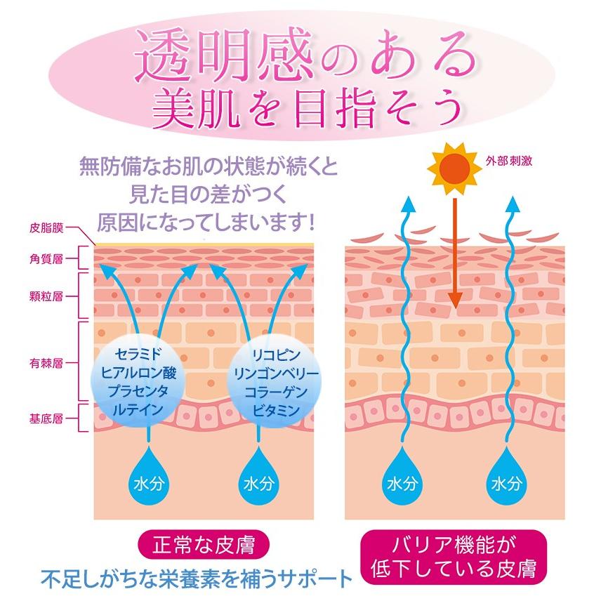 サプリメント 日焼け止め スキンケア リコピン セラミド ヒアルロン酸 ホワイトリッチピュア 送料無料 乾燥 肌トラブル 化粧品 美容液 |  | 15