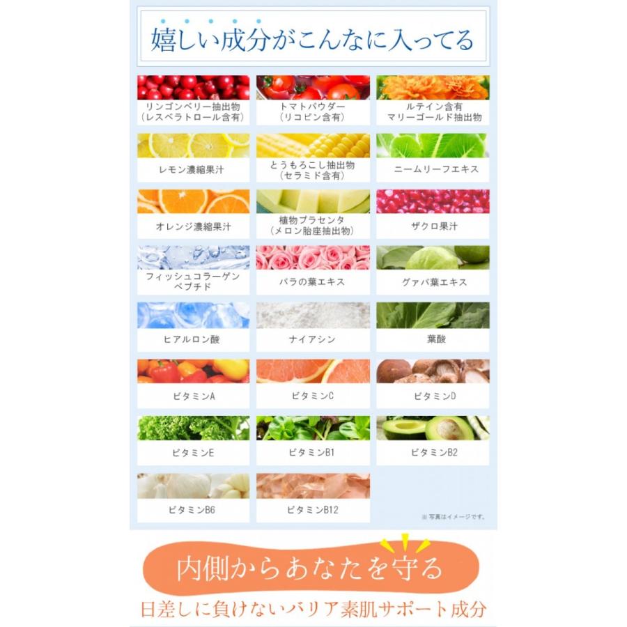 サプリメント 日焼け止め スキンケア リコピン セラミド ヒアルロン酸 ホワイトリッチピュア 送料無料 乾燥 肌トラブル 化粧品 美容液 |  | 06