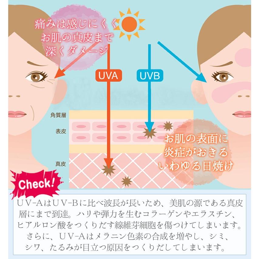 サプリメント 日焼け止め スキンケア リコピン セラミド ヒアルロン酸 ホワイトリッチピュア 送料無料 乾燥 肌トラブル 化粧品 美容液 |  | 09