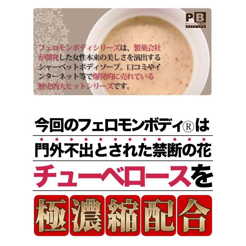 スクラブ ボディソープ ボディソルト マッサージ ボディケア 無鉱物油 合成着色料不使用 ノンパラベン フェロモンボディ エステSPA 送料無料 |  | 02