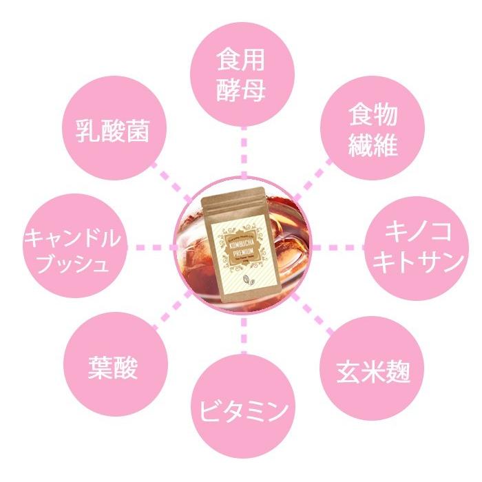 ダイエットティー 昆布茶 健康茶 クレンズ 乳酸菌 酵母 食物繊維 ビタミン 腸内環境 国産 コンブチャ プレミアム 美肌 燃焼 メール便送料無料 8 004s Beauty Coordinate Yahoo 店 通販 Yahoo ショッピング