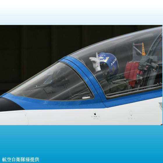 【メール便OK185円/4双まで】鹿革 手袋 ブルーインパルス使用 パイロット ドライブ 消防革手袋 操法 消防団 【DN-690】プロハンズ PROHANDS 富士グローブ |  | 04