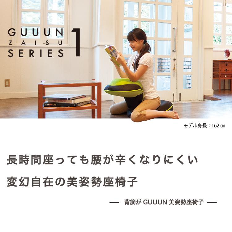 骨盤 姿勢矯正クッション チェア 座椅子 腰痛 姿勢 テレワーク おすすめ 背筋がGUUUN グーン 累計30万台突破 美姿勢 リクライニング プロイデア ドリームの画像