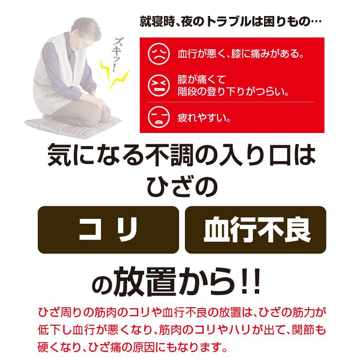 マグネッカーdx ひざ用 B ひざ 膝 足 脚 コリ 血行促進 冷え症 磁気 むくみ サポーター プロイデア メール便ok 10 0070 2246 プロイデア Yahoo ショッピング店 通販 Yahoo ショッピング