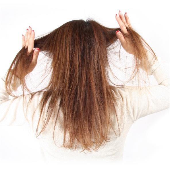 美容師さんの艶髪ブラシ 天然毛タイプ ヘアブラシ サラサラ 頭皮マッサージ 美容師 サロン プロイデア 0070 3117 プロイデア Yahoo ショッピング店 通販 Yahoo ショッピング