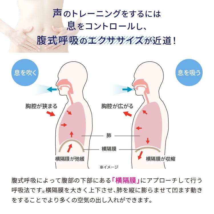 ボイストレーナー 秋竹朋子 監修 腹式呼吸 トレーニング カラオケ 呼吸 エクササイズ ブレスチェンジャー プロイデア ドリーム｜proidea｜04