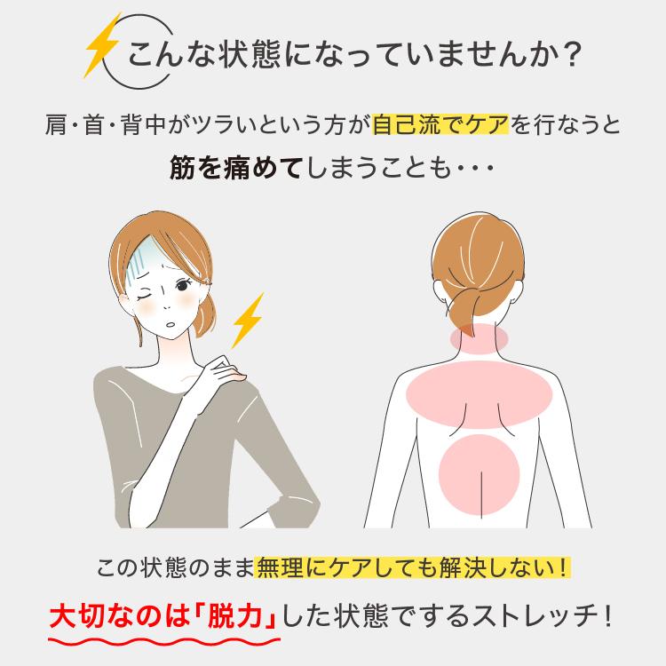 PROIDEA ストレッチパートナー ハグスフィア 抱えてるだけで硬く