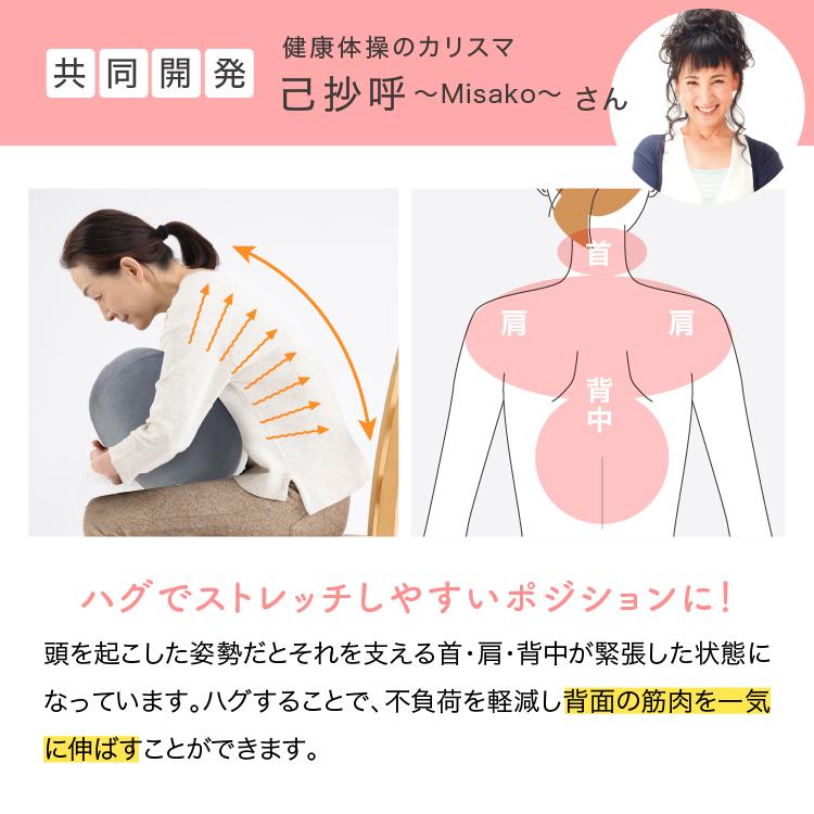 PROIDEA ストレッチパートナー ハグスフィア ストレッチパートナー ハグスフィア | 商品のご紹介 | 株式会社