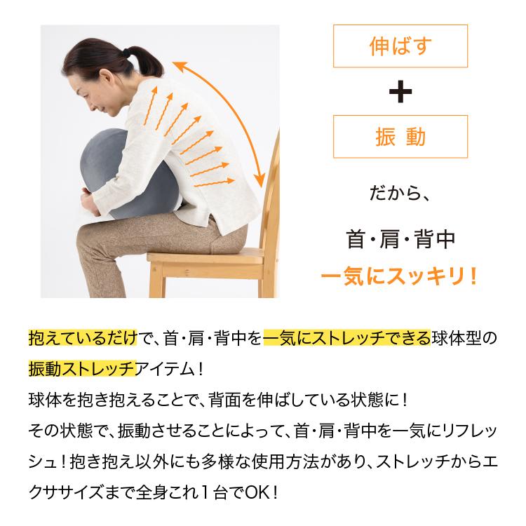 PROIDEA ストレッチパートナー ハグスフィア 抱えてるだけで硬く