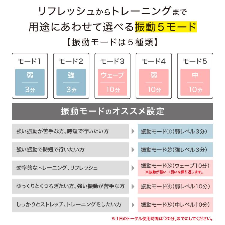 PROIDEA（プロイデア） ストレッチパートナー ハグスフィア 抱えてる