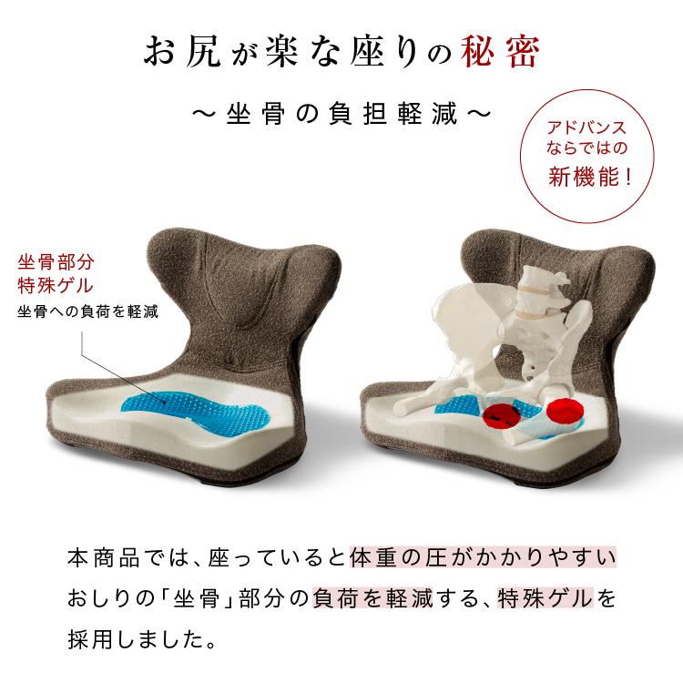 馬具マットプレミアムアドバンス : プロイデア Yahoo!ショッピング店