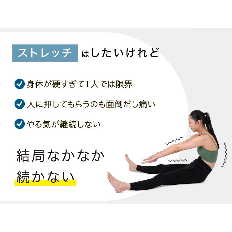 PROIDEA（プロイデア） ストレッチ 開脚 椅子 座椅子 骨盤矯正 腰痛