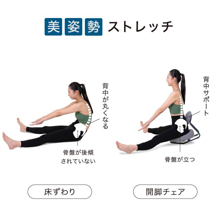 PROIDEA（プロイデア） ストレッチ 開脚 椅子 座椅子 骨盤矯正 腰痛