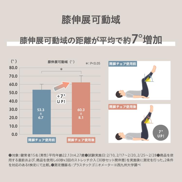 PROIDEA（プロイデア） ストレッチ 開脚 椅子 座椅子 骨盤矯正 腰痛