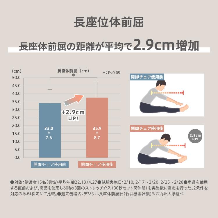PROIDEA（プロイデア） ストレッチ 開脚 椅子 座椅子 骨盤矯正 腰痛