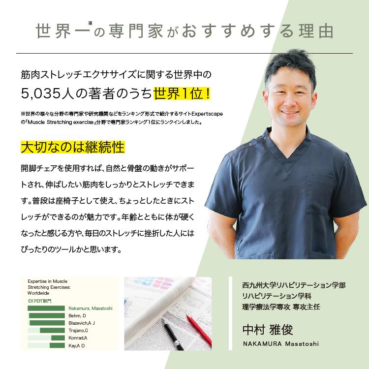 PROIDEA（プロイデア） ストレッチ 開脚 椅子 座椅子 骨盤矯正 腰痛