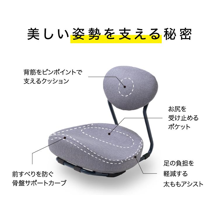 PROIDEA（プロイデア） ストレッチ 開脚 椅子 座椅子 骨盤矯正 腰痛