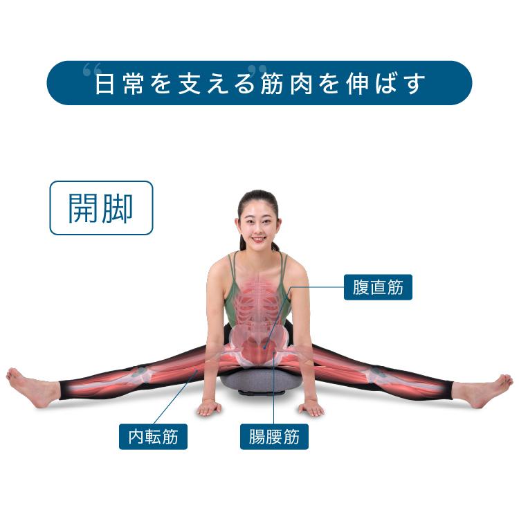 PROIDEA（プロイデア） ストレッチ 開脚 椅子 座椅子 骨盤矯正 腰痛
