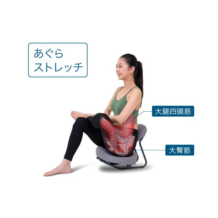 PROIDEA（プロイデア） ストレッチ 開脚 椅子 座椅子 骨盤矯正 腰痛