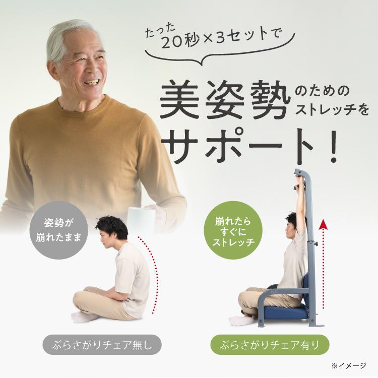 PROIDEA（プロイデア） ぶらさがりチェア ストレッチ 懸垂 ぶら下がり