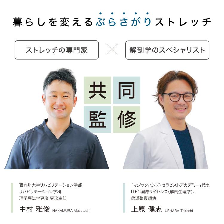 PROIDEA（プロイデア） ぶらさがりチェア ストレッチ 懸垂 ぶら下がり