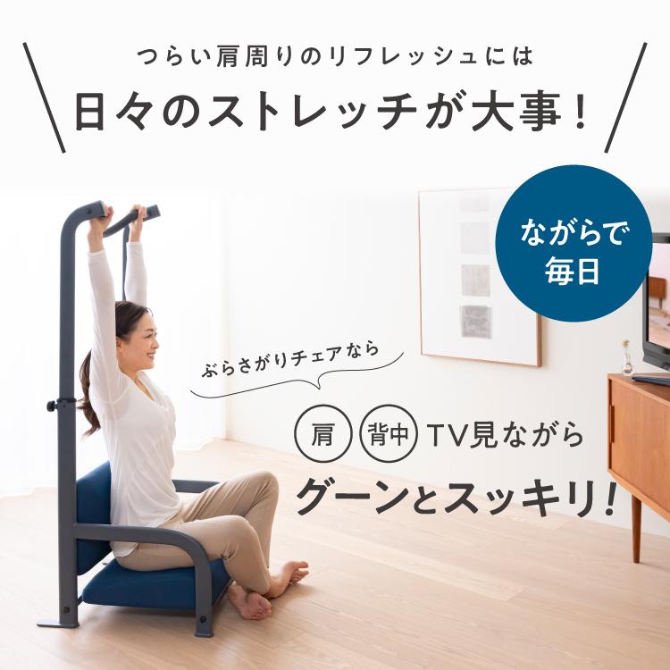 PROIDEA（プロイデア） ぶらさがりチェア ストレッチ 懸垂 ぶら下がり