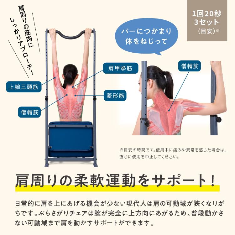 PROIDEA（プロイデア） ぶらさがりチェア ストレッチ 懸垂 ぶら下がり