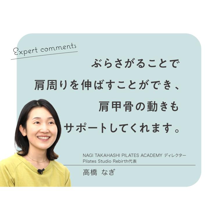 PROIDEA（プロイデア） ぶらさがりチェア ストレッチ 懸垂 ぶら下がり